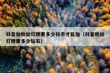 抖音加粉丝灯牌要多少抖币才能加（抖音粉丝灯牌要多少钻石）