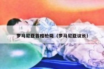 罗马尼亚首相枪毙（罗马尼亚议长）