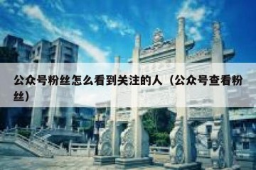 公众号粉丝怎么看到关注的人（公众号查看粉丝）