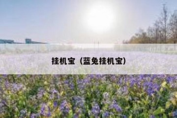 挂机宝（蓝兔挂机宝）