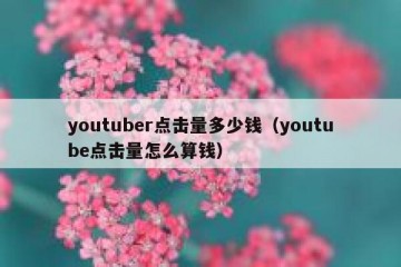 youtuber点击量多少钱（youtube点击量怎么算钱）