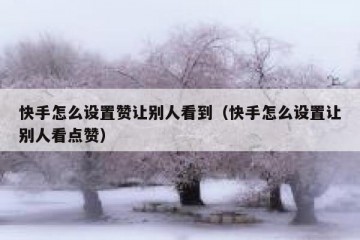 快手怎么设置赞让别人看到（快手怎么设置让别人看点赞）