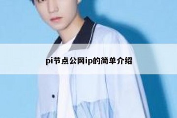 pi节点公网ip的简单介绍