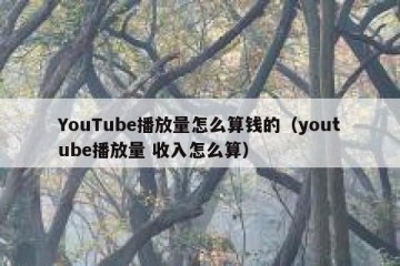 YouTube播放量怎么算钱的（youtube播放量 收入怎么算）