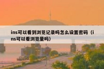 ins可以看到浏览记录吗怎么设置密码（ins可以看浏览量吗）