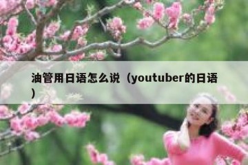 油管用日语怎么说（youtuber的日语）