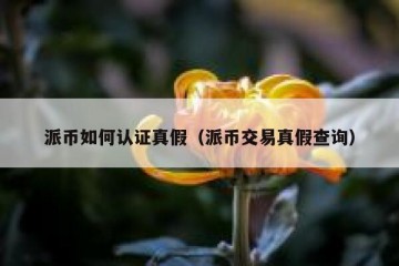派币如何认证真假（派币交易真假查询）