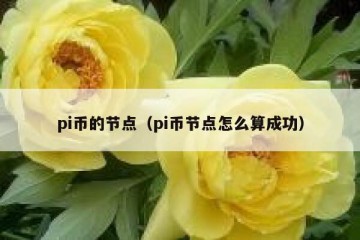 pi币的节点（pi币节点怎么算成功）