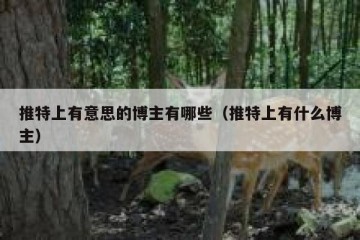 推特上有意思的博主有哪些（推特上有什么博主）