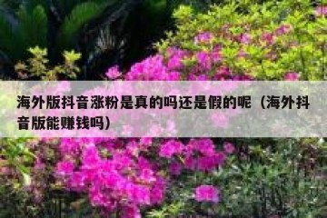 海外版抖音涨粉是真的吗还是假的呢（海外抖音版能赚钱吗）
