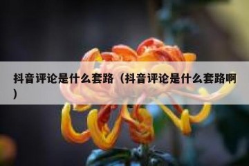 抖音评论是什么套路（抖音评论是什么套路啊）