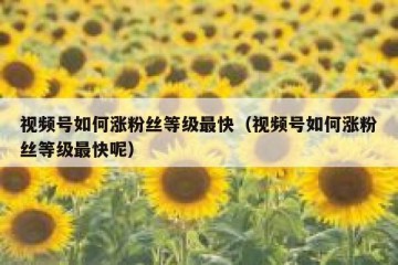 视频号如何涨粉丝等级最快（视频号如何涨粉丝等级最快呢）