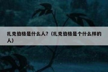 扎克伯格是什么人?（扎克伯格是个什么样的人）