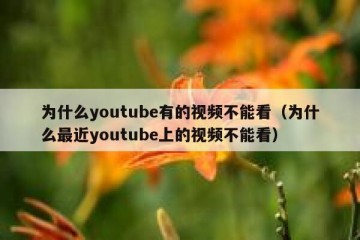 为什么youtube有的视频不能看（为什么最近youtube上的视频不能看）