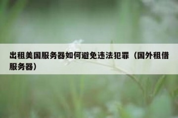 出租美国服务器如何避免违法犯罪（国外租借服务器）