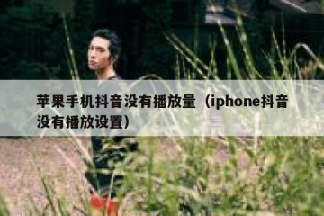 苹果手机抖音没有播放量（iphone抖音没有播放设置）