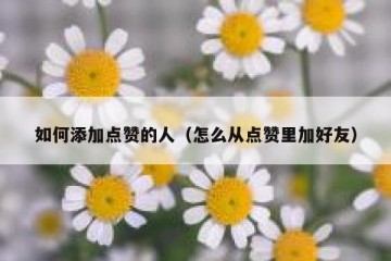 如何添加点赞的人（怎么从点赞里加好友）