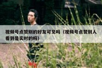视频号点赞别的好友可见吗（视频号点赞别人看到是实时的吗）