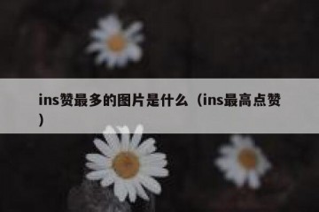 ins赞最多的图片是什么（ins最高点赞）