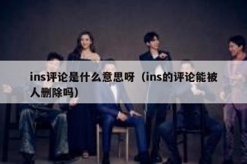 ins评论是什么意思呀（ins的评论能被人删除吗）