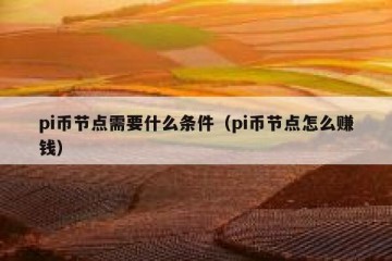 pi币节点需要什么条件（pi币节点怎么赚钱）