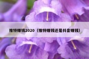 推特赚钱2020（推特赚钱还是抖音赚钱）