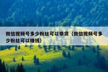 微信视频号多少粉丝可以带货（微信视频号多少粉丝可以赚钱）