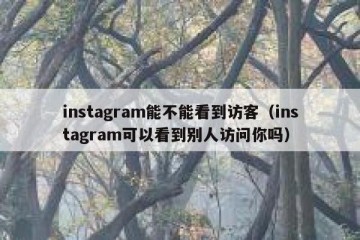 instagram能不能看到访客（instagram可以看到别人访问你吗）