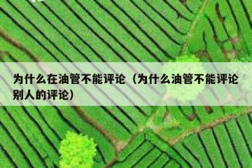 为什么在油管不能评论（为什么油管不能评论别人的评论）