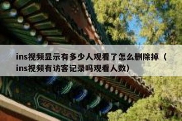 ins视频显示有多少人观看了怎么删除掉（ins视频有访客记录吗观看人数）