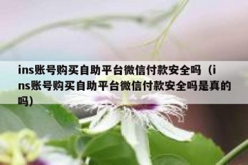 ins账号购买自助平台微信付款安全吗（ins账号购买自助平台微信付款安全吗是真的吗）