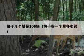 快手几个赞是100块（快手得一个赞多少钱）