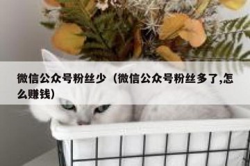 微信公众号粉丝少（微信公众号粉丝多了,怎么赚钱）