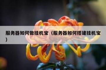 服务器如何做挂机宝（服务器如何搭建挂机宝）