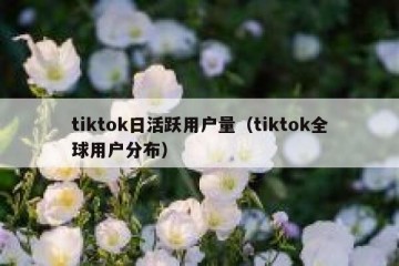 tiktok日活跃用户量（tiktok全球用户分布）