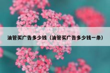 油管买广告多少钱（油管买广告多少钱一条）
