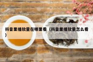抖音里播放量在哪里看（抖音里播放量怎么看）