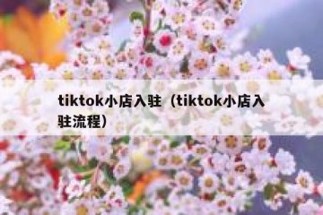 tiktok小店入驻（tiktok小店入驻流程）