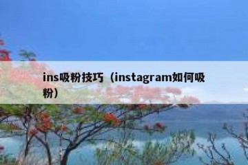 ins吸粉技巧（instagram如何吸粉）