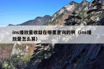 ins播放量收益在哪里查询的啊（ins播放量怎么算）