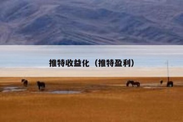 推特收益化（推特盈利）