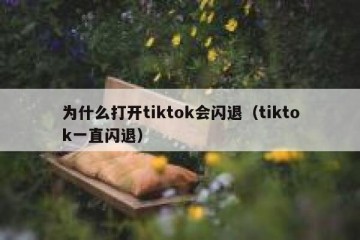 为什么打开tiktok会闪退（tiktok一直闪退）
