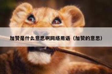 加赞是什么意思啊网络用语（加赞的意思）