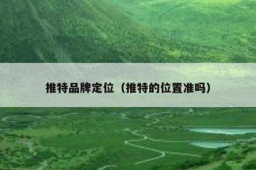 推特品牌定位（推特的位置准吗）