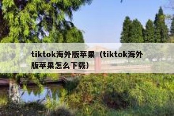 tiktok海外版苹果（tiktok海外版苹果怎么下载）