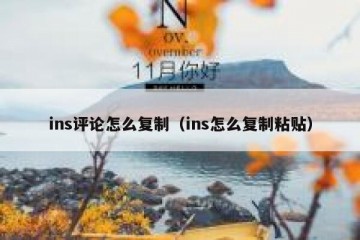 ins评论怎么复制（ins怎么复制粘贴）