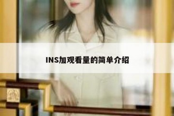 INS加观看量的简单介绍