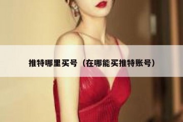 推特哪里买号（在哪能买推特账号）