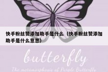 快手粉丝赞添加助手是什么（快手粉丝赞添加助手是什么意思）