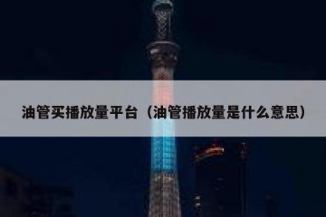 油管买播放量平台（油管播放量是什么意思）
